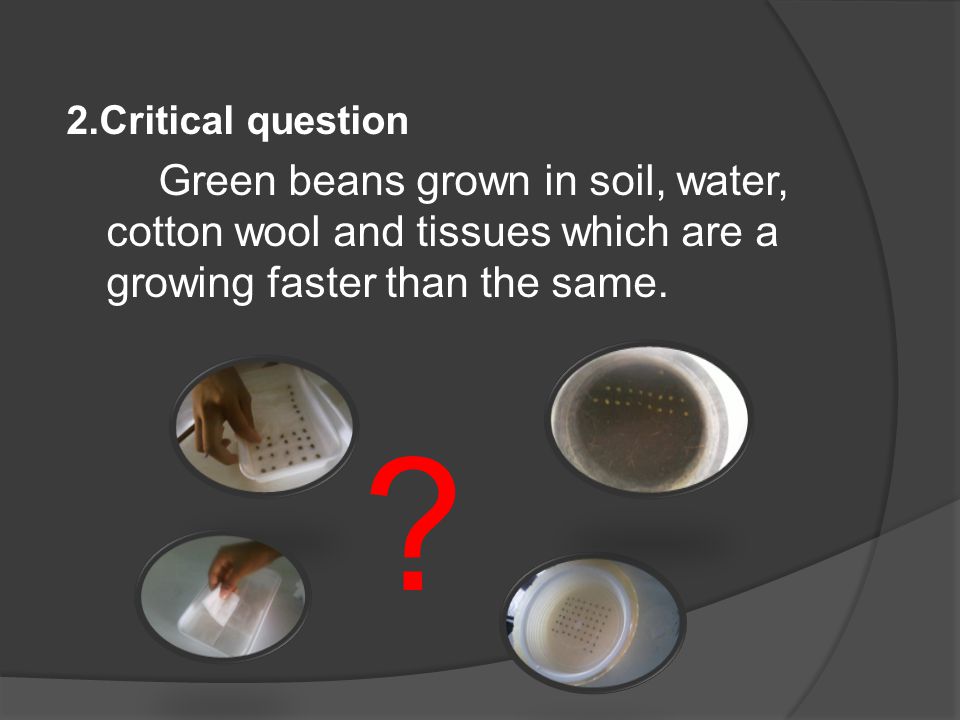 2.Critical question Green beans grown in soil, water, cotton wool and tissues which are a growing faster than the same.