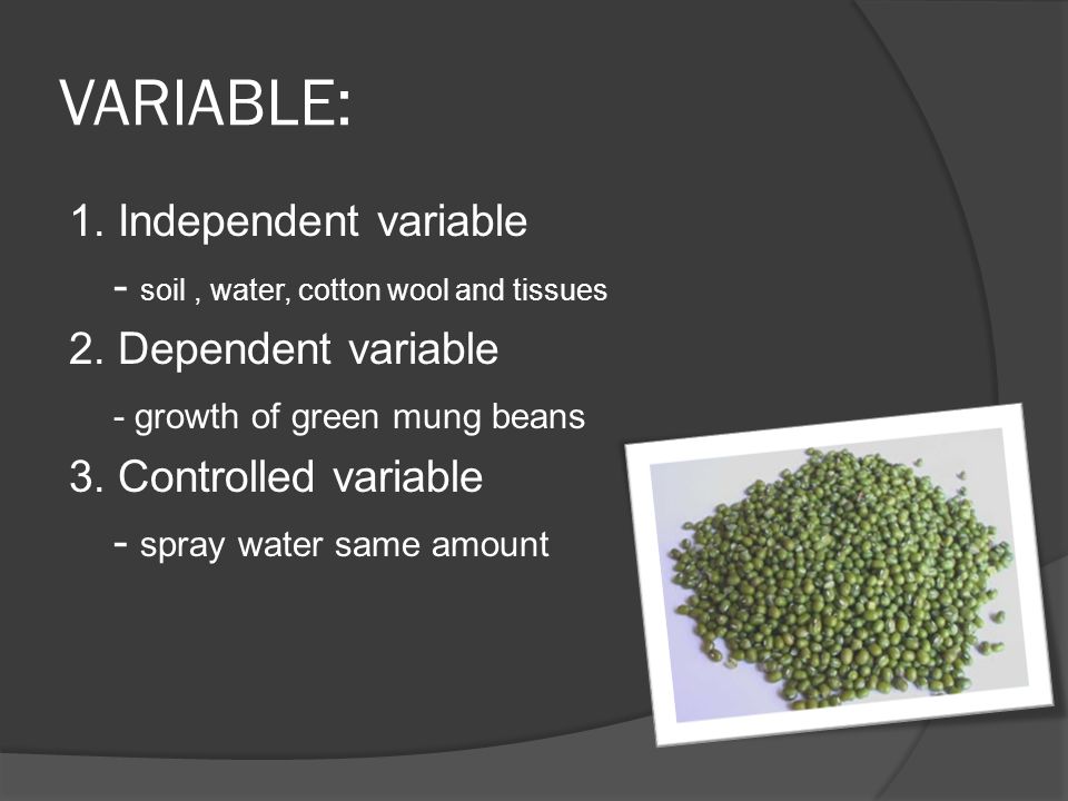 VARIABLE: 1. Independent variable - soil, water, cotton wool and tissues 2.