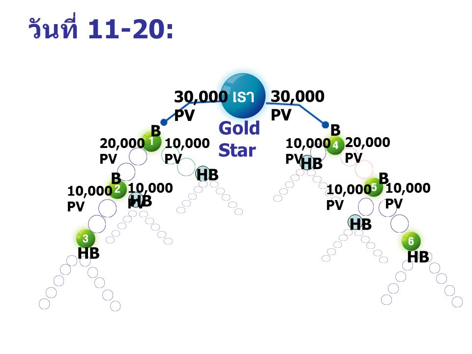 วันที่ 11-20: 10,000 PV 20,000 PV 10,000 PV 20,000 PV 10,000 PV HB B B BB 30,000 PV Gold Star