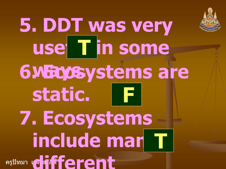 ครูปัทมา แฝงสวัสดิ์ 5. DDT was very useful in some ways.