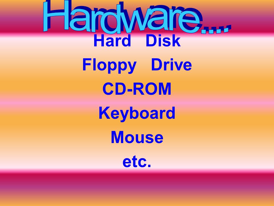 Hard Disk Floppy Drive CD-ROM Keyboard Mouse etc.