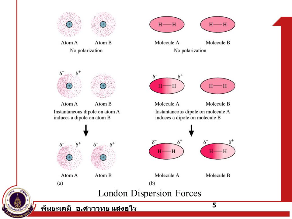 พันธะเคมี อ. ศราวุทธ แสงอุไร London Dispersion Forces 5