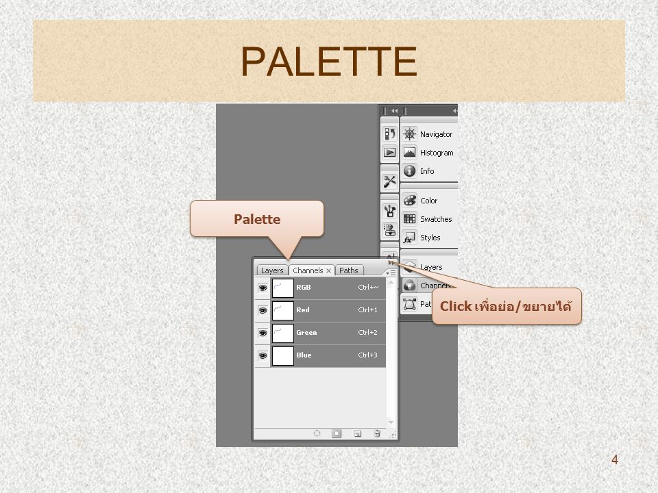 PALETTE Palette Click เพื่อย่อ/ขยายได้ 4
