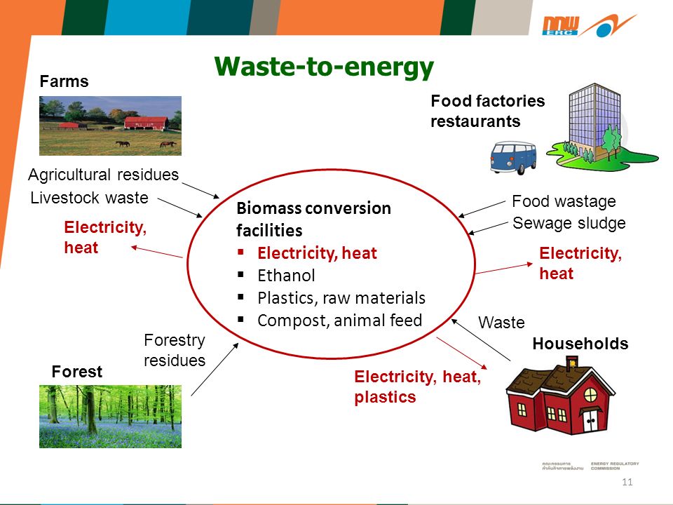 Biomass conversion facilities  Electricity, heat  Ethanol  Plastics, raw materials  Compost, animal feed Waste-to-energy 11 Agricultural residues Livestock waste Electricity, heat Farms Forest Forestry residues Food factories, restaurants Food wastage Sewage sludge Electricity, heat Electricity, heat, plastics Waste Households