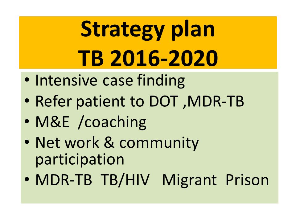 Strategy plan TB Intensive case finding Refer patient to DOT,MDR-TB M&E /coaching Net work & community participation MDR-TB TB/HIV Migrant Prison