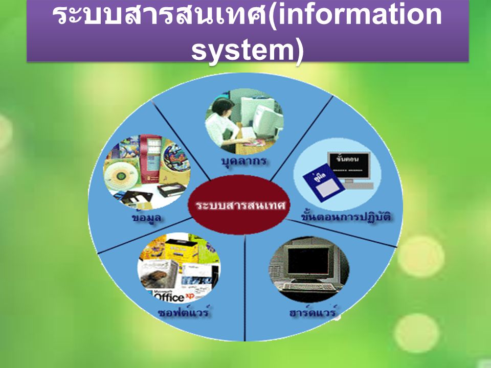 ระบบสารสนเทศ (information system)