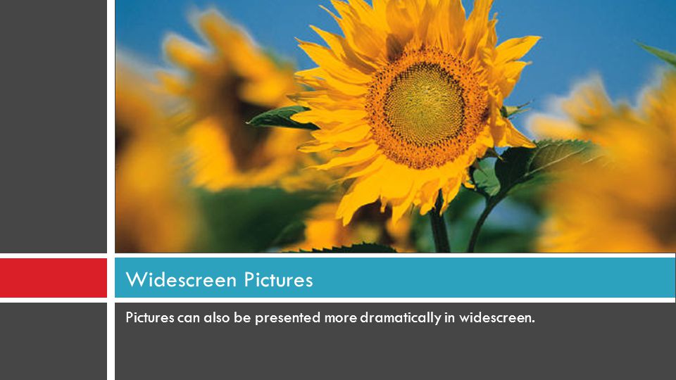 Pictures can also be presented more dramatically in widescreen. Widescreen Pictures