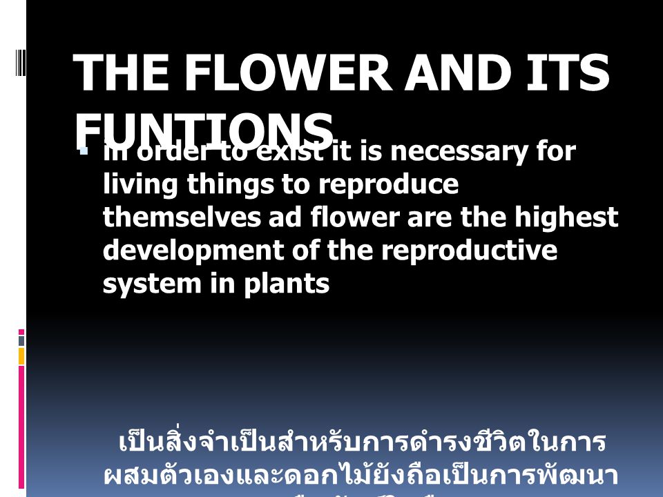 THE FLOWER AND ITS FUNTIONS  in order to exist it is necessary for living things to reproduce themselves ad flower are the highest development of the reproductive system in plants เป็นสิ่งจำเป็นสำหรับการดำรงชีวิตในการ ผสมตัวเองและดอกไม้ยังถือเป็นการพัฒนา สูงสุดของระบบสืบพันธุ์ในพืช