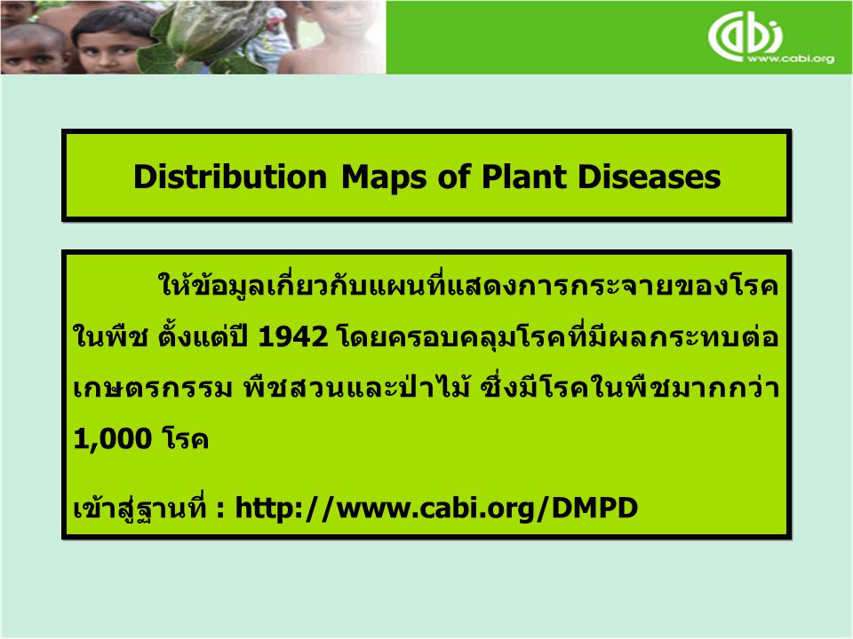 Distribution Maps of Plant Diseases ให้ข้อมูลเกี่ยวกับแผนที่แสดงการกระจายของโรค ในพืช ตั้งแต่ปี 1942 โดยครอบคลุมโรคที่มีผลกระทบต่อ เกษตรกรรม พืชสวนและป่าไม้ ซึ่งมีโรคในพืชมากกว่า 1,000 โรค เข้าสู่ฐานที่ :   ให้ข้อมูลเกี่ยวกับแผนที่แสดงการกระจายของโรค ในพืช ตั้งแต่ปี 1942 โดยครอบคลุมโรคที่มีผลกระทบต่อ เกษตรกรรม พืชสวนและป่าไม้ ซึ่งมีโรคในพืชมากกว่า 1,000 โรค เข้าสู่ฐานที่ :