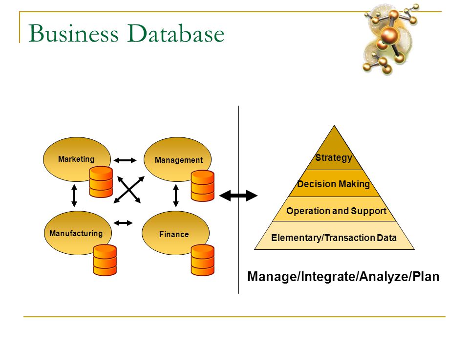 Business Database Elementary/Transaction Data Operation and Support Decision Making Strategy Marketing Finance Management Manufacturing Manage/Integrate/Analyze/Plan