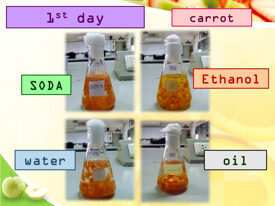 SODA Ethanol wateroil 1 st day carrot