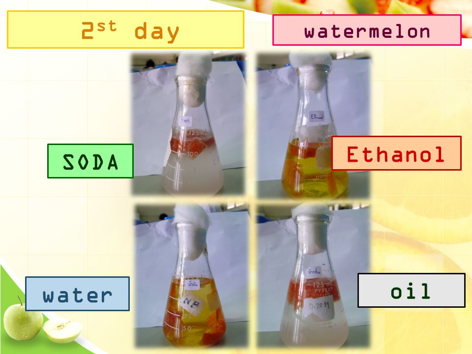 2 st day SODA Ethanol water oil watermelon