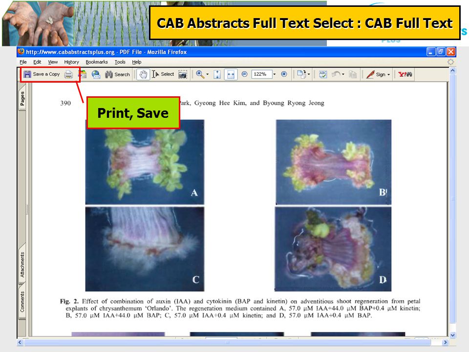 Print, Save CAB Abstracts Full Text Select : CAB Full Text