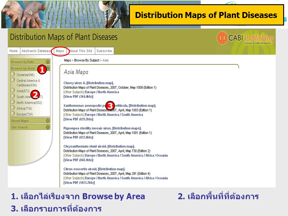 Distribution Maps of Plant Diseases 1. เลือกไล่เรียงจาก Browse by Area2.