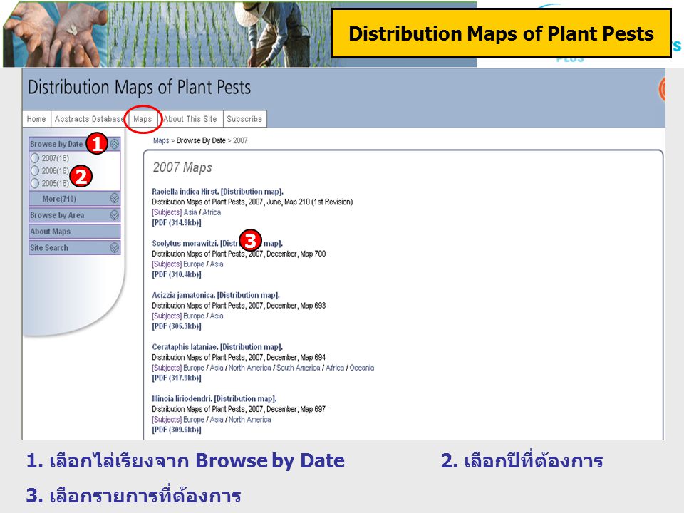Distribution Maps of Plant Pests 1. เลือกไล่เรียงจาก Browse by Date2.