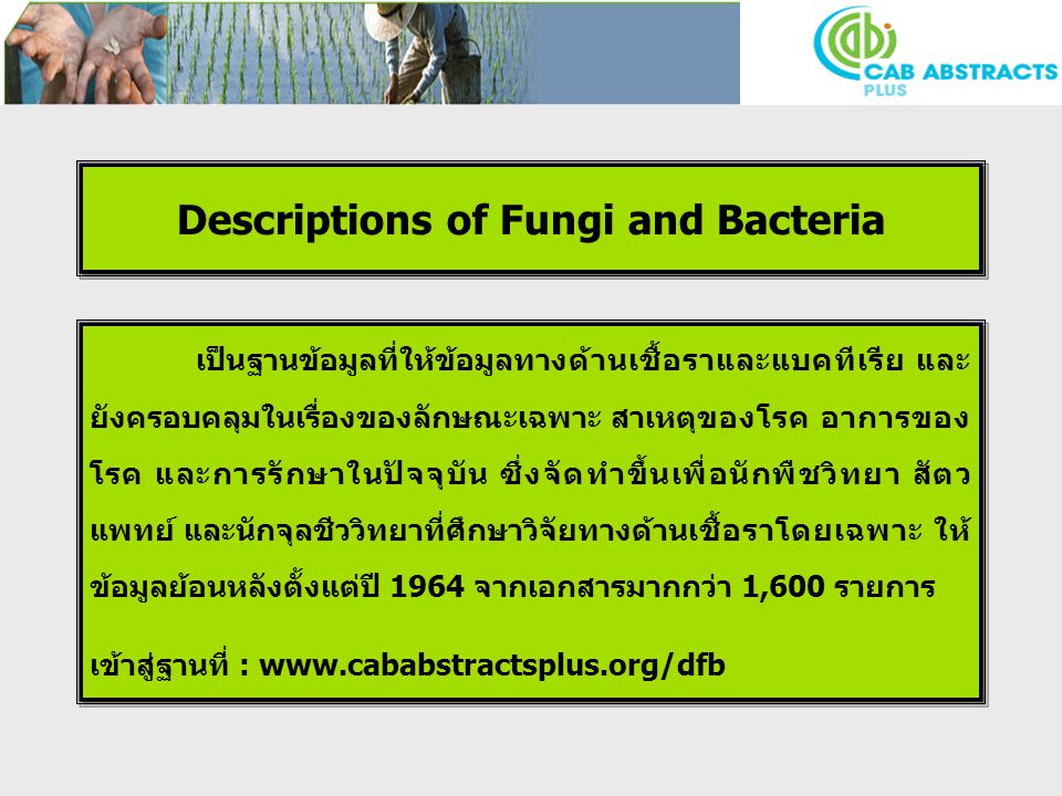 Descriptions of Fungi and Bacteria เป็นฐานข้อมูลที่ให้ข้อมูลทางด้านเชื้อราและแบคทีเรีย และ ยังครอบคลุมในเรื่องของลักษณะเฉพาะ สาเหตุของโรค อาการของ โรค และการรักษาในปัจจุบัน ซึ่งจัดทำขึ้นเพื่อนักพืชวิทยา สัตว แพทย์ และนักจุลชีววิทยาที่ศึกษาวิจัยทางด้านเชื้อราโดยเฉพาะ ให้ ข้อมูลย้อนหลังตั้งแต่ปี 1964 จากเอกสารมากกว่า 1,600 รายการ เข้าสู่ฐานที่ :   เป็นฐานข้อมูลที่ให้ข้อมูลทางด้านเชื้อราและแบคทีเรีย และ ยังครอบคลุมในเรื่องของลักษณะเฉพาะ สาเหตุของโรค อาการของ โรค และการรักษาในปัจจุบัน ซึ่งจัดทำขึ้นเพื่อนักพืชวิทยา สัตว แพทย์ และนักจุลชีววิทยาที่ศึกษาวิจัยทางด้านเชื้อราโดยเฉพาะ ให้ ข้อมูลย้อนหลังตั้งแต่ปี 1964 จากเอกสารมากกว่า 1,600 รายการ เข้าสู่ฐานที่ :