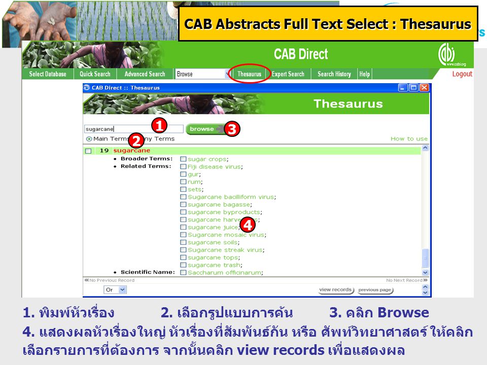 CAB Abstracts Full Text Select : Thesaurus 1. พิมพ์หัวเรื่อง 1 2.