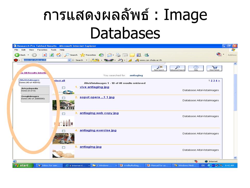 การแสดงผลลัพธ์ : Image Databases