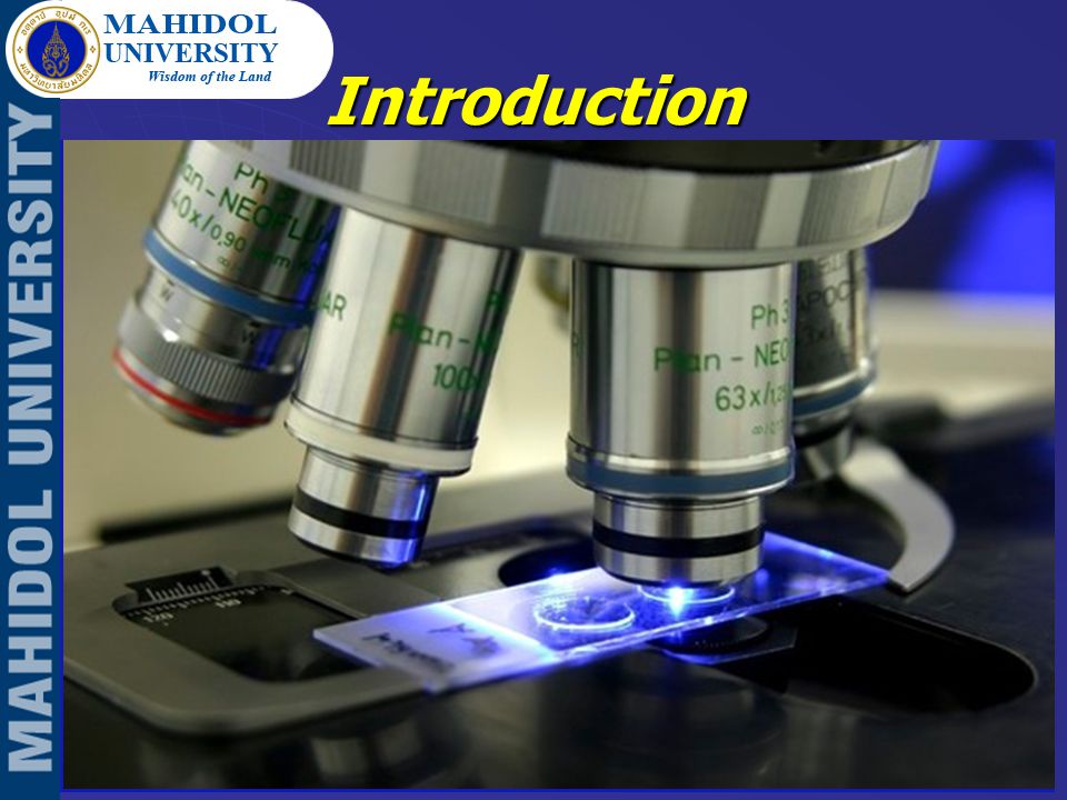 Introduction Microscope