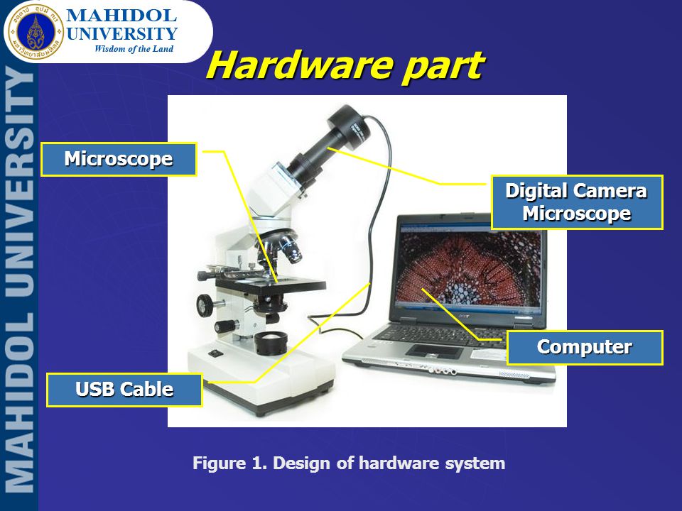 Hardware part Digital Camera Microscope Figure 1.