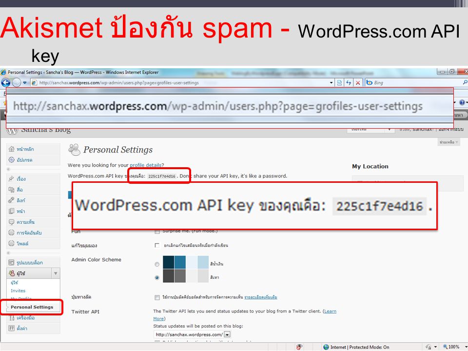 Akismet ป้องกัน spam - WordPress.com API key