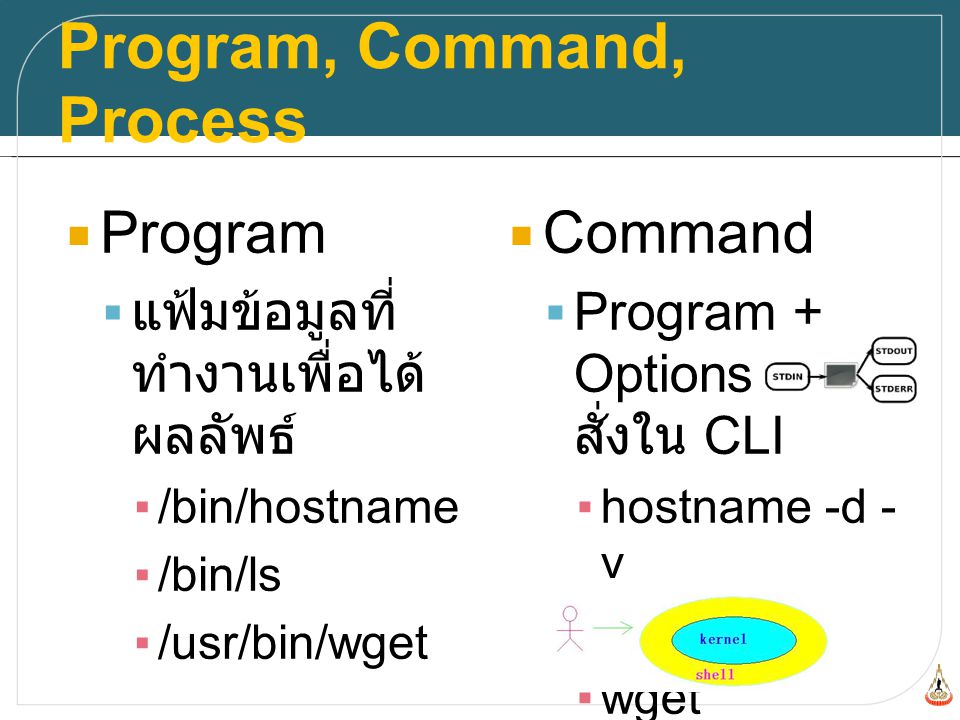 Program, Command, Process  Program  แฟ้มข้อมูลที่ ทำงานเพื่อได้ ผลลัพธ์ ▪/bin/hostname ▪/bin/ls ▪/usr/bin/wget  Options  program -o – option file.txt  Command  Program + Options ที่ผู้ใช้ สั่งใน CLI ▪hostname -d - v ▪ls -l ~/ ▪wget online_file.txt  Process  Command ที่ ทำงานอยู่