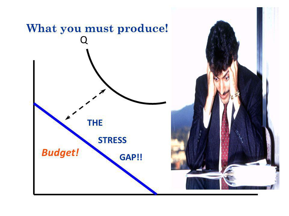 Budget! THE STRESS GAP!! Q What you must produce! Q