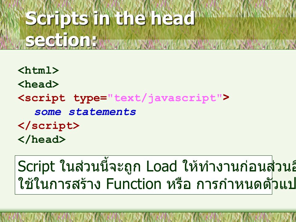 Scripts in the head section: some statements Script ในส่วนนี้จะถูก Load ให้ทำงานก่อนส่วนอื่นๆ ใช้ในการสร้าง Function หรือ การกำหนดตัวแปร ค่าเริ่มต้นต่างๆ