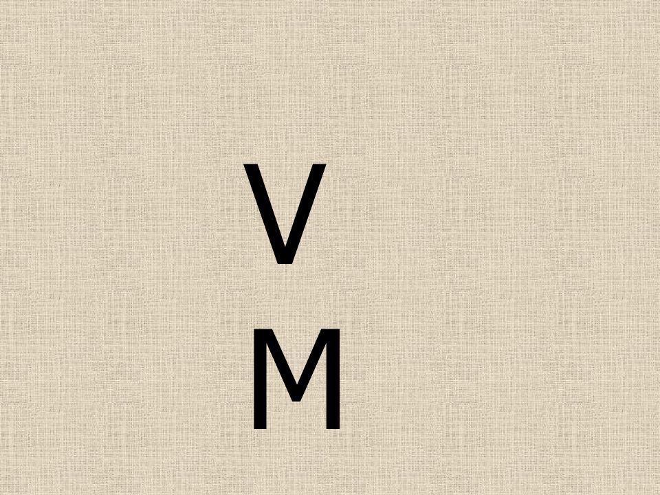 VMVM