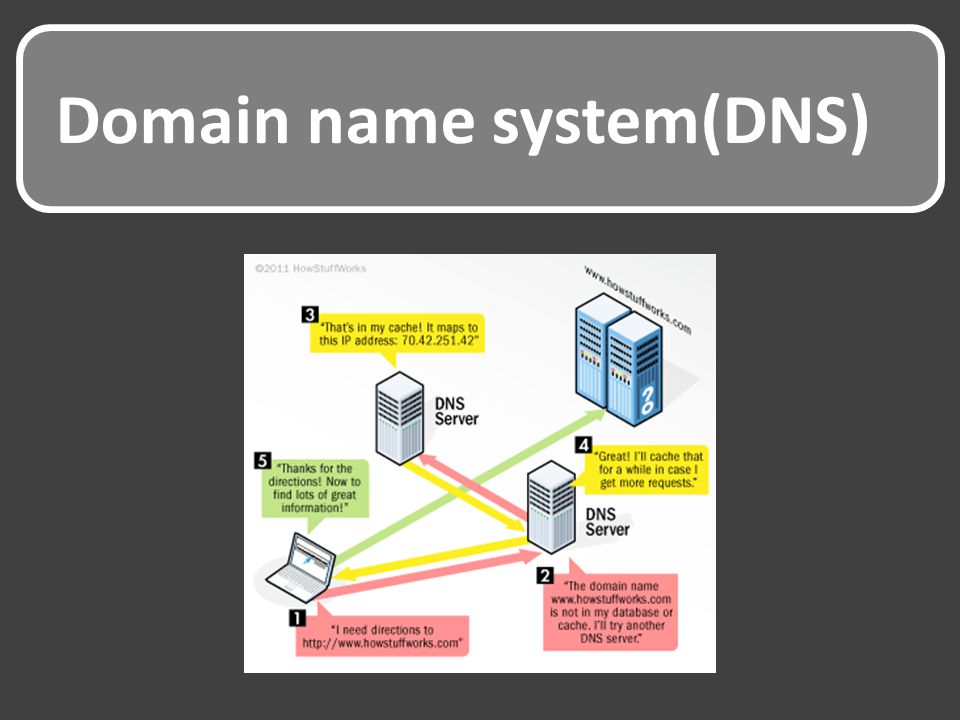 Domain name system(DNS)