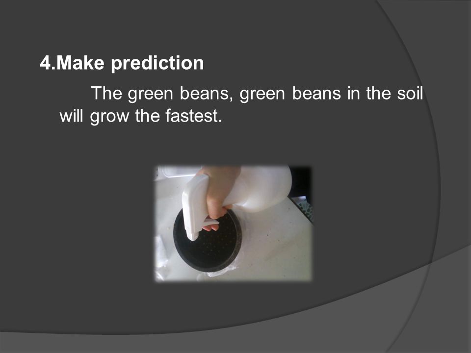 4.Make prediction The green beans, green beans in the soil will grow the fastest.