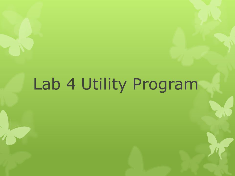 Lab 4 Utility Program
