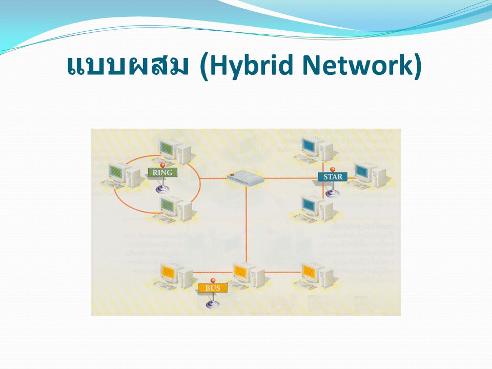 แบบผสม (Hybrid Network)