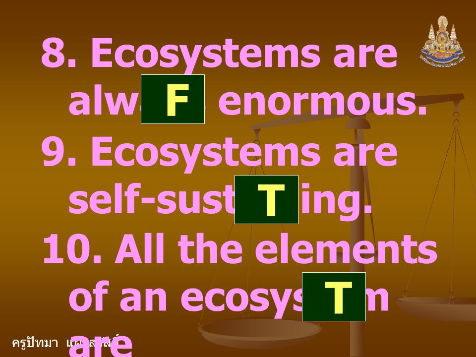 ครูปัทมา แฝงสวัสดิ์ 8. Ecosystems are always enormous.