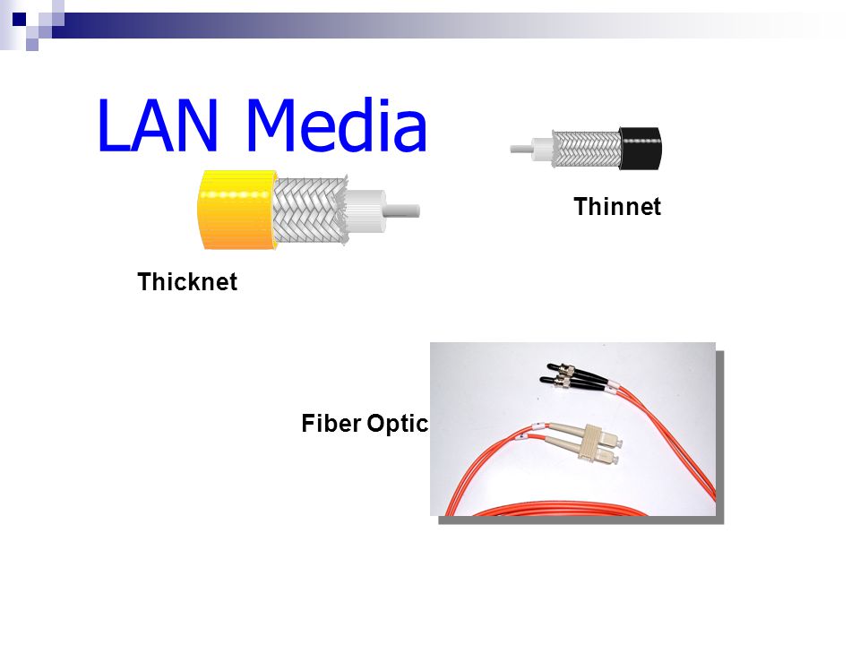 Thicknet Thinnet LAN Media Fiber Optic