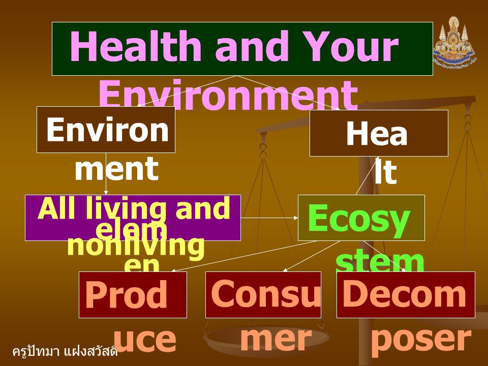 ครูปัทมา แฝงสวัสดิ์ Health and Your Environment Environ ment Hea lt h All living and nonliving elem en ts Ecosy stem Prod uce r Consu mer Decom poser