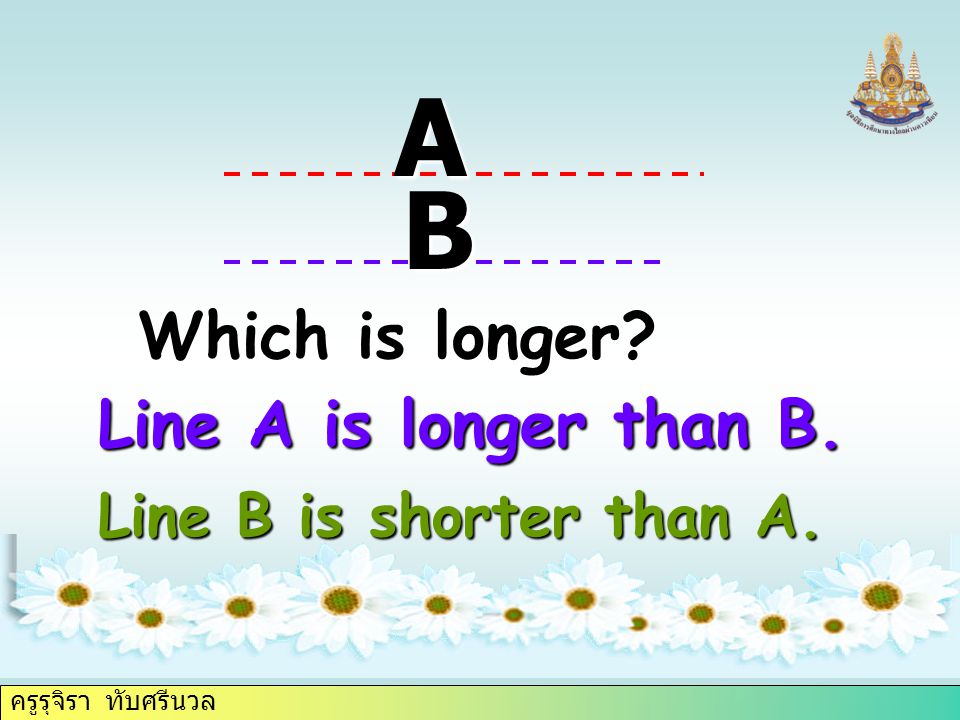 ครูรุจิรา ทับศรีนวล Which is longer A B Line A is longer than B. Line B is shorter than A.