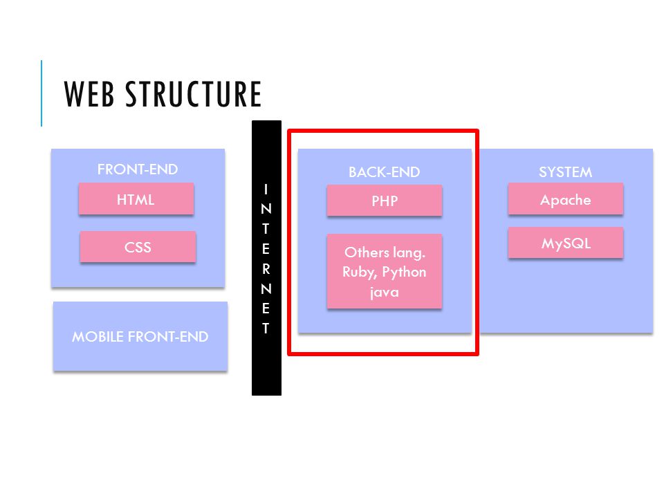 WEB STRUCTURE FRONT-END BACK-END SYSTEM MOBILE FRONT-END HTML CSS PHP Others lang.
