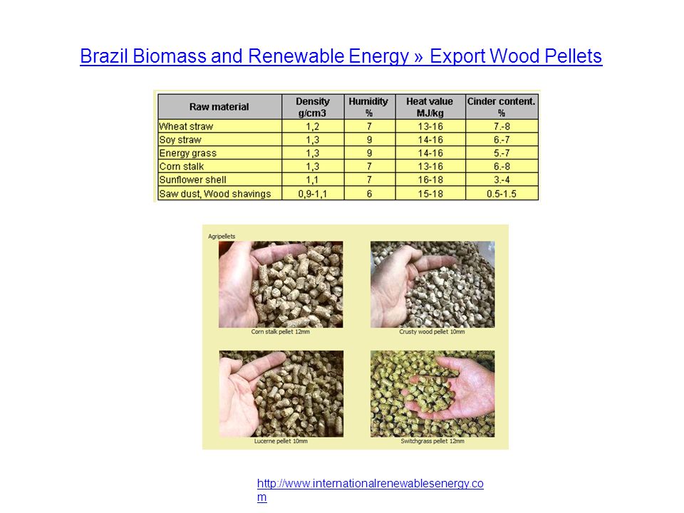 m Brazil Biomass and Renewable Energy » Export Wood Pellets
