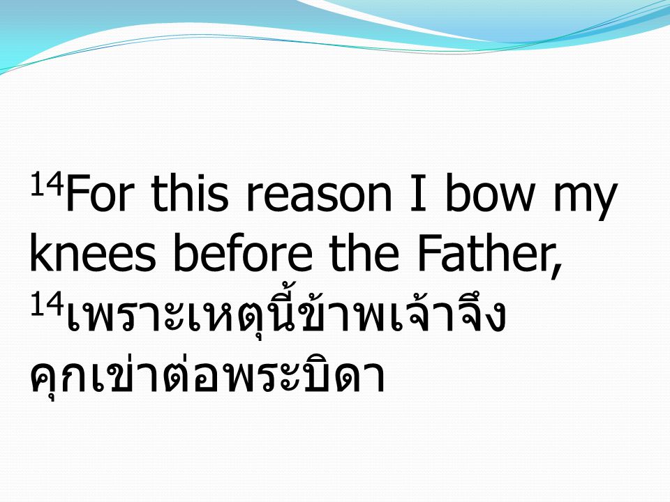 14 For this reason I bow my knees before the Father, 14 เพราะเหตุนี้ข้าพเจ้าจึง คุกเข่าต่อพระบิดา