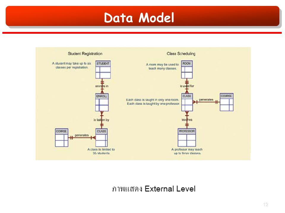 Data Model 12