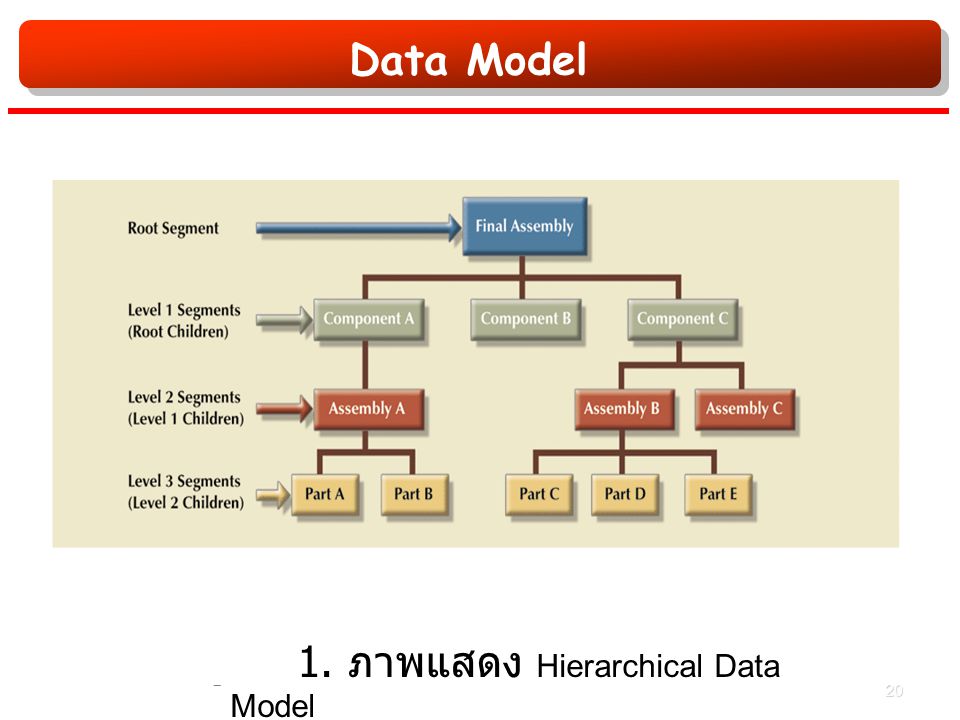 Data Model รูปที่ 1. ภาพแสดง Hierarchical Data Model 20