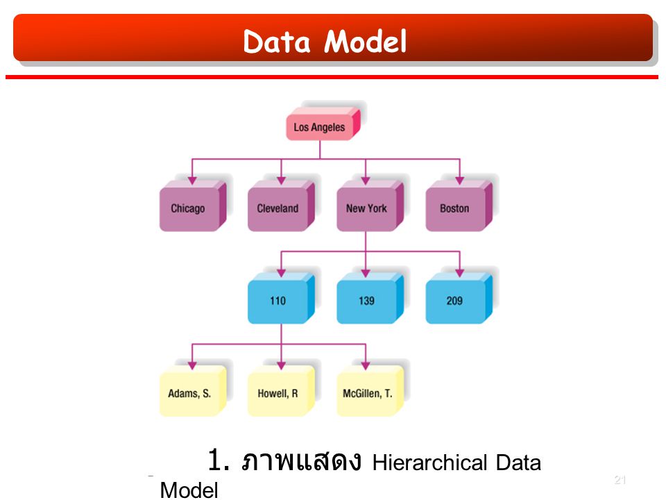 Data Model รูปที่ 1. ภาพแสดง Hierarchical Data Model 21