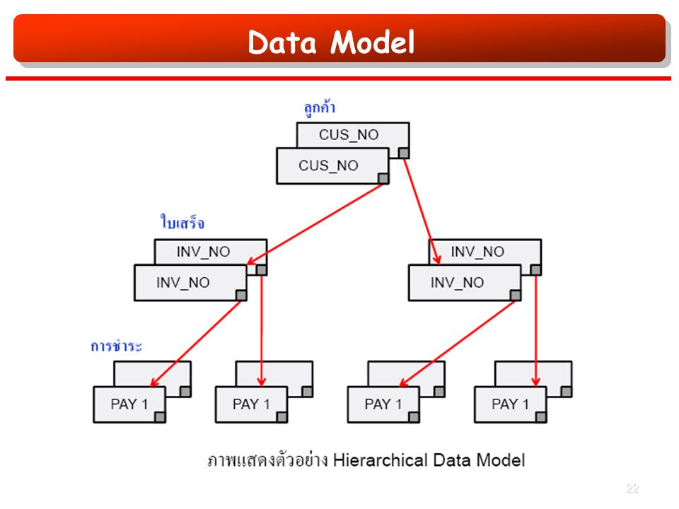 Data Model 22