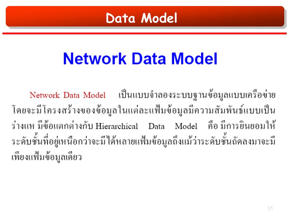 Data Model 25