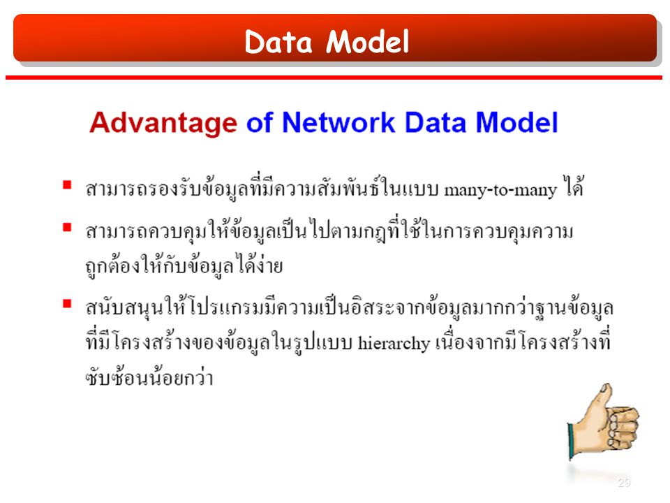 Data Model 29