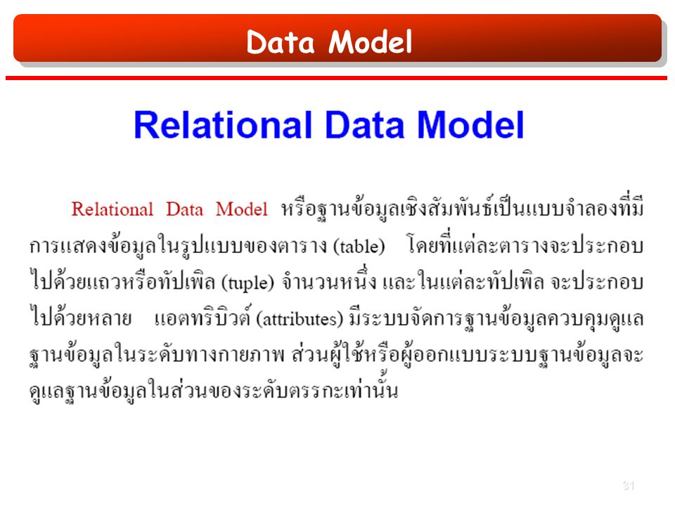 Data Model 31