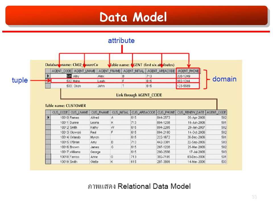 Data Model 33