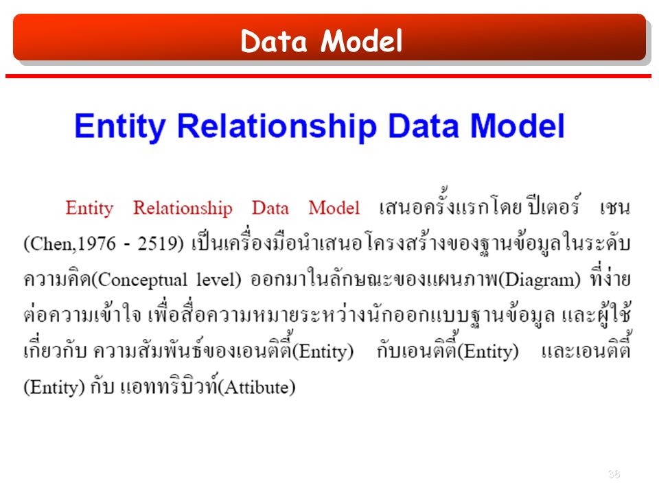 Data Model 38