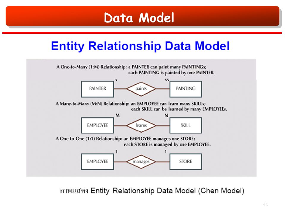 Data Model 40